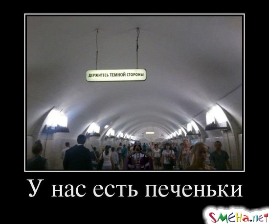 У нас есть печеньки