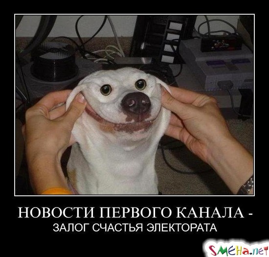 НОВОСТИ ПЕРВОГО КАНАЛА - - ЗАЛОГ СЧАСТЬЯ ЭЛЕКТОРАТА