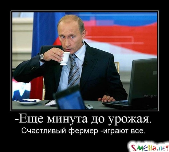 Еще минута до урожая. - Счастливый фермер - играют все.