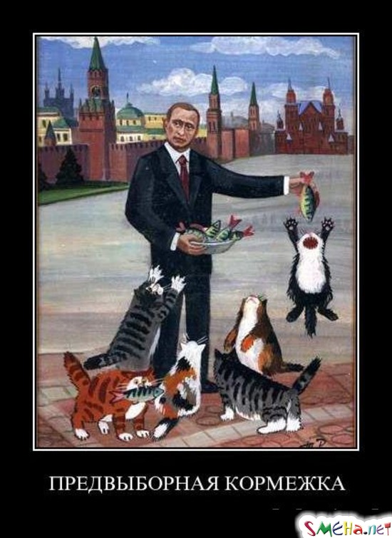 ПРЕДВЫБОРНАЯ КОРМЕЖКА