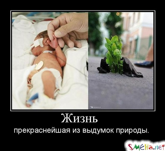 Жизнь - прекраснейшая из выдумок природы.