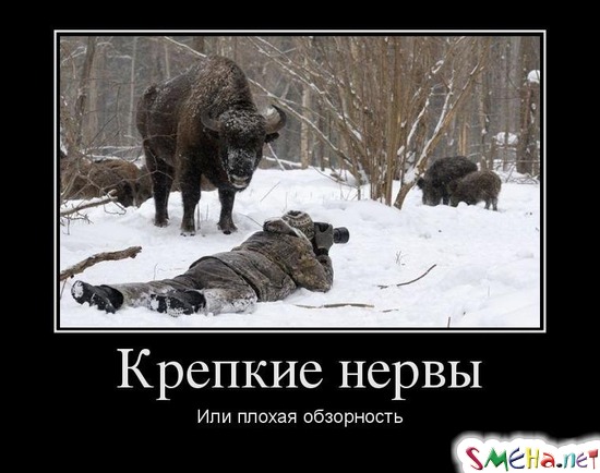 Крепкие нервы - Или плохая обзорность