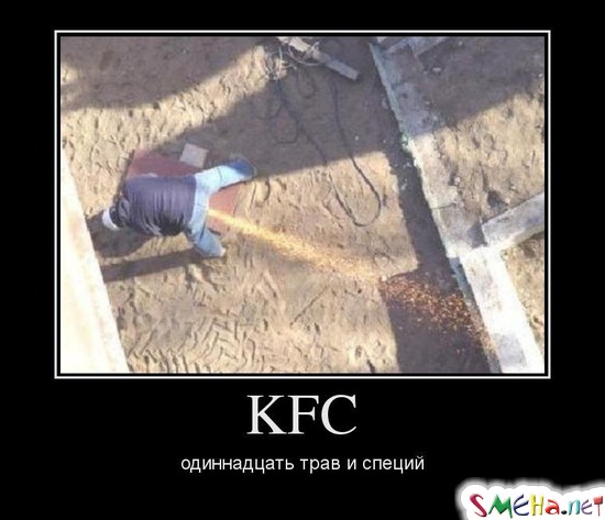KFC - одиннадцать трав и специй