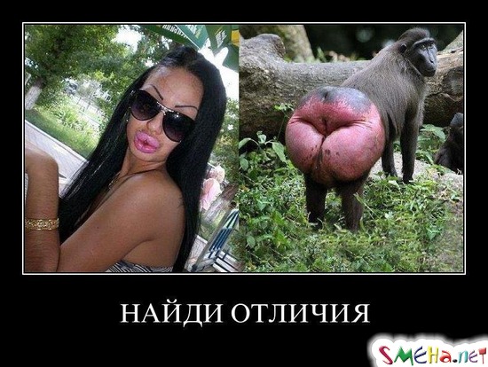 НАЙДИ ОТЛИЧИЯ