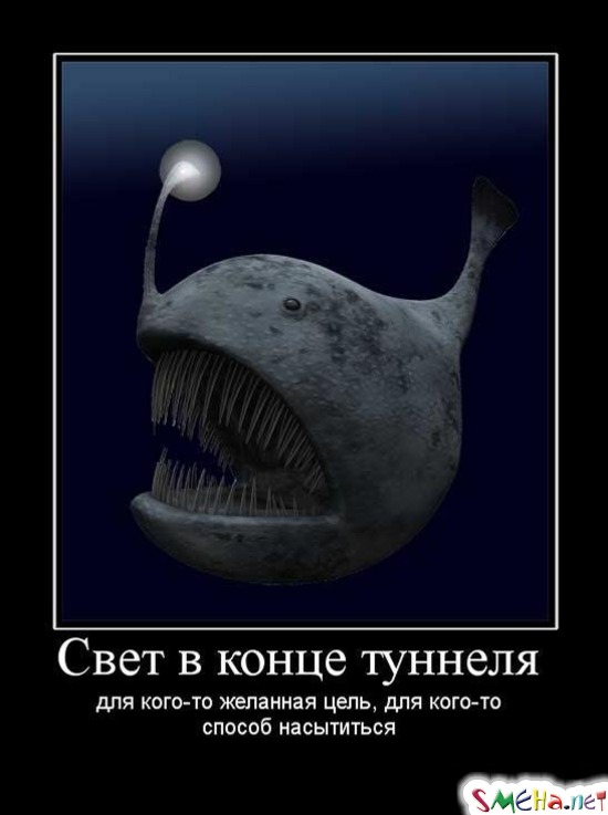 Свет в конце туннеля - для кого-то желанная цель, для кого-то способ насытиться