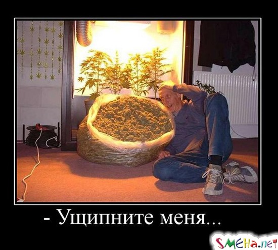 - Ущипните меня...