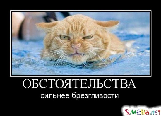 ОБСТОЯТЕЛЬСТВА - сильнее брезгливости
