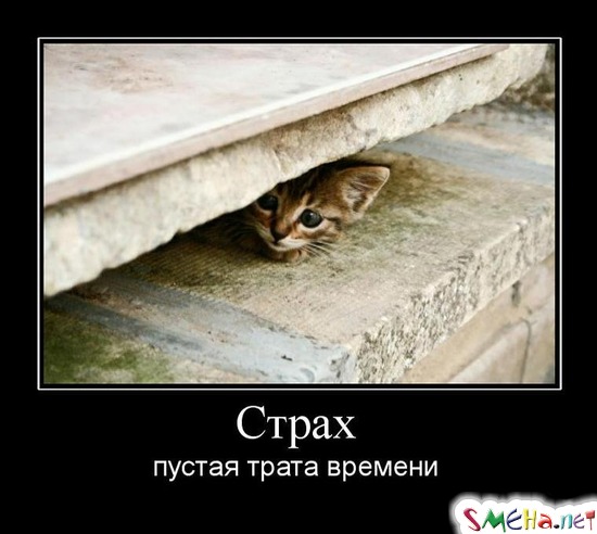 Страх - пустая трата времени