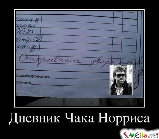 Дневник Чака Норриса