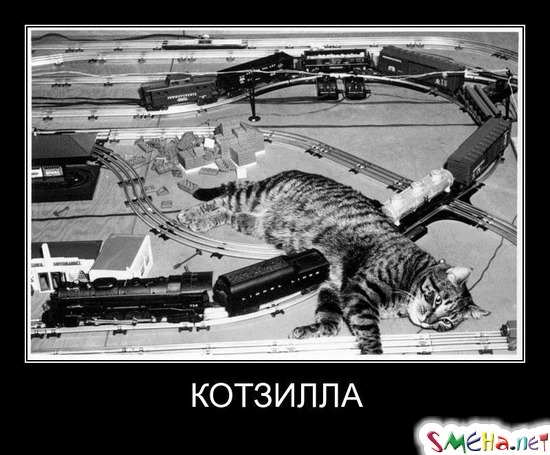 КОТЗИЛЛА