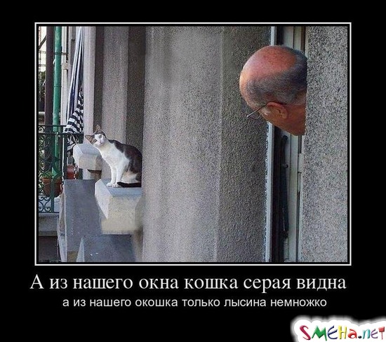 А из нашего окна кошка серая видна - а из нашего окошка только лысина немножко