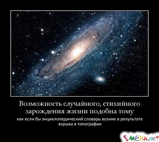Возможность случайного, стихийного зарождения жизни подобна тому