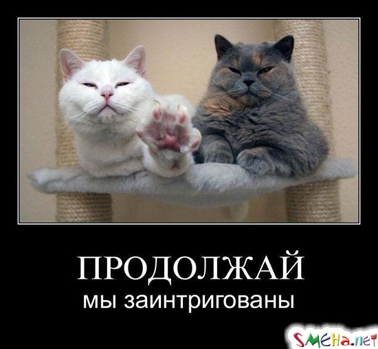 ПРОДОЛЖАЙ - мы заинтригованны