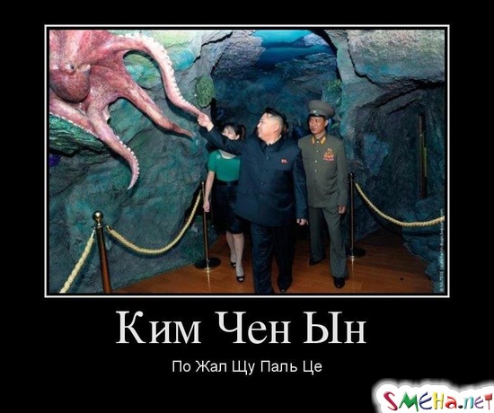 Ким Чен Ын По Жал Щу Паль Це