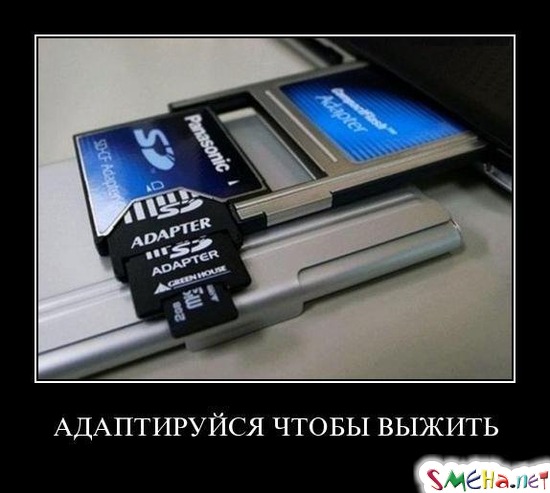 АДАПТИРУЙСЯ ЧТОБЫ ВЫЖИТЬ