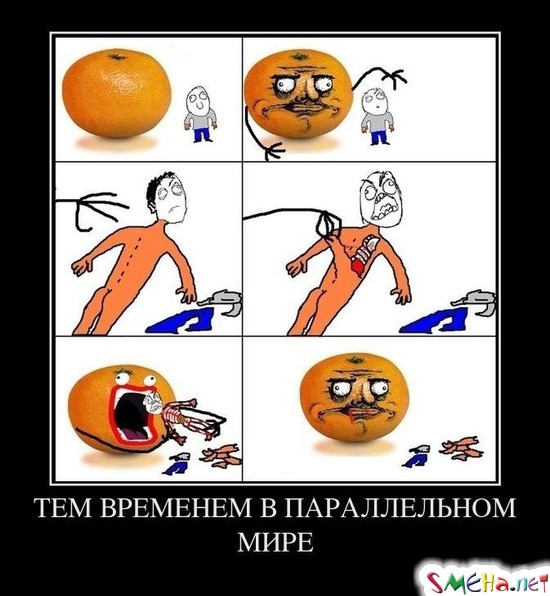 ТЕМ ВРЕМЕНЕМ В ПАРАЛЛЕЛЬНОМ МИРЕ