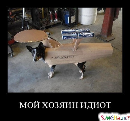 МОЙ ХОЗЯИН ИДИОТ