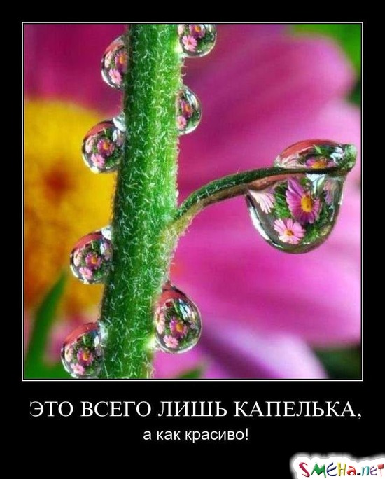 ЭТО ВСЕГО ЛИШЬ КАПЕЛЬКА, - а как красиво!