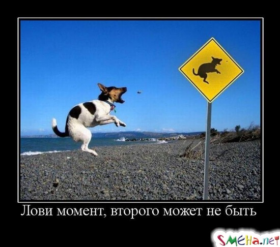 Лови момент, второго может не быть