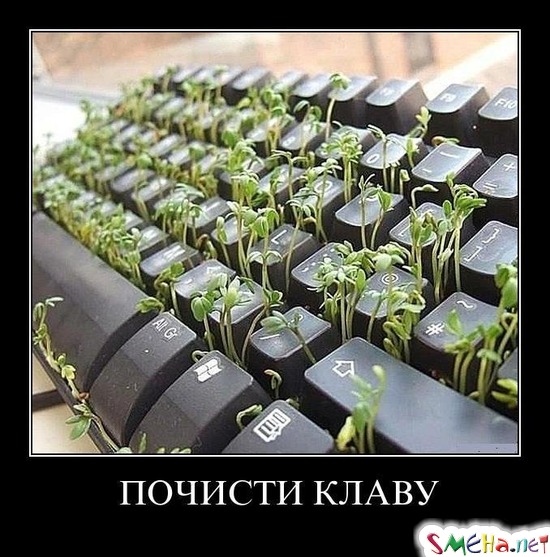 ПОЧИСТИ КЛАВУ
