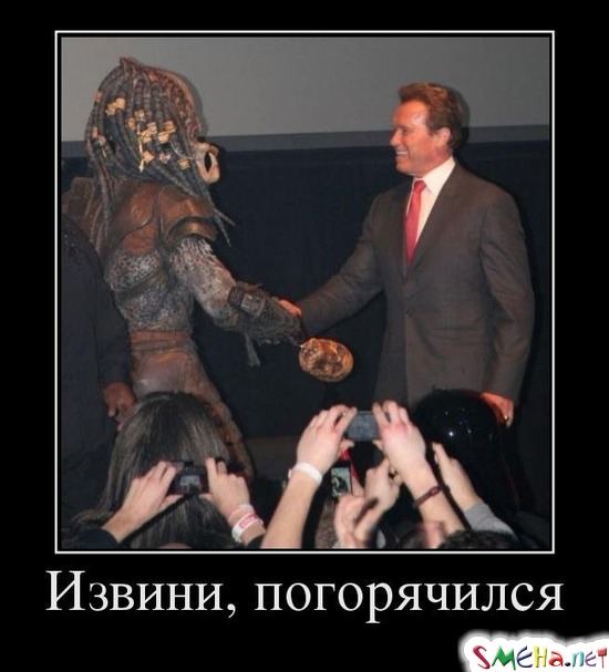 Извини, погорячился