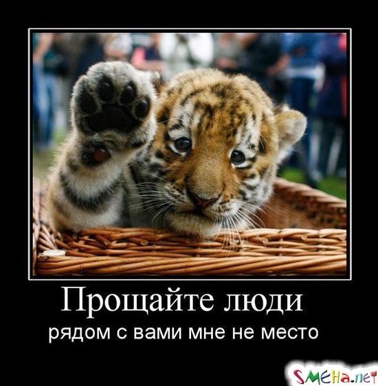 Прощайте люди - рядом с вами мне не место