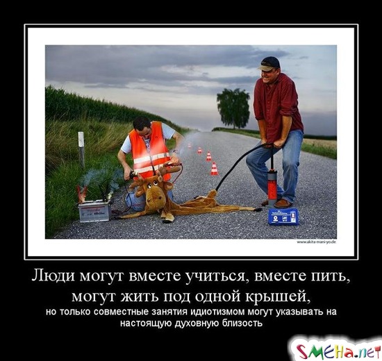 Люди могут вместе учиться, вместе пить, могут жить под одной крышей