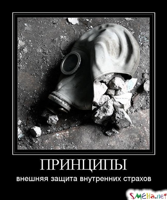 ПРИНЦИПЫ - внешняя защита внутренних страхов