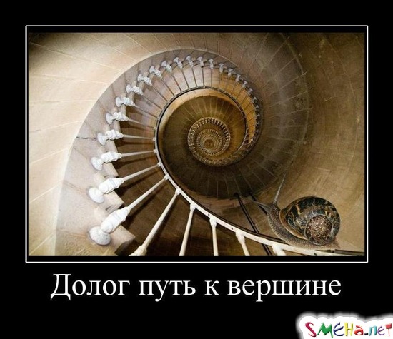 Долог путь к вершине