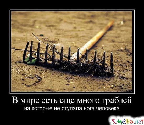 В мире есть еще много граблей - на которые не ступала нога человека