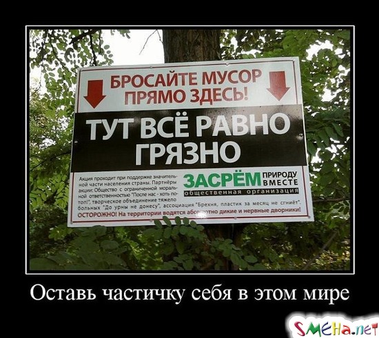 Оставь частичку себя в этом мире