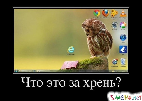 Что это за хрень?