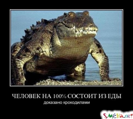 ЧЕЛОВЕК НА 100% СОСТОИТ ИЗ ЕДЫ - доказано крокодилами