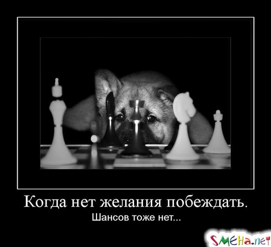 Когда нет желания побеждать. - Шансов тоже нет