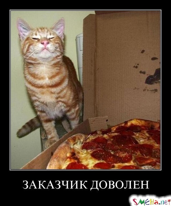 ЗАКАЗЧИК ДОВОЛЕН