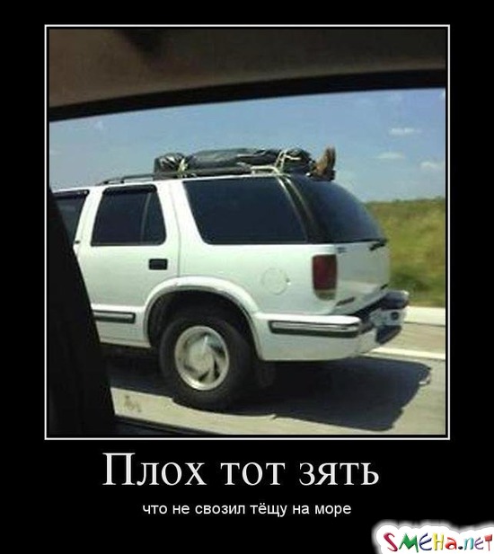 Плох тот зять - что не свозил тёщу на море