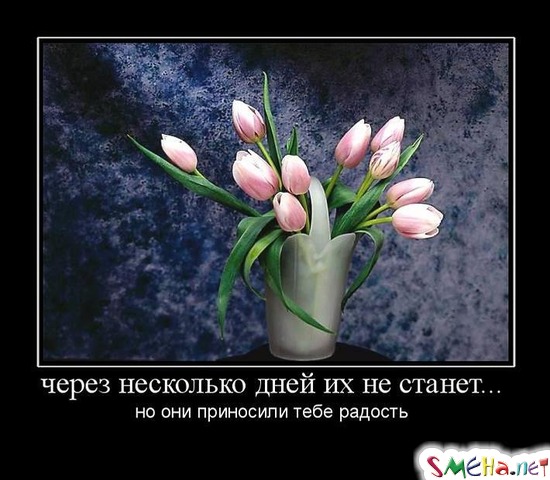 через несколько дней их не станет... - но они приносили тебе радость