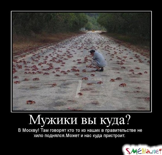 Мужики вы куда? - В Москву! Там говорят кто то из наших в правительстве не хило поднялся.Может и нас куда пристроит.