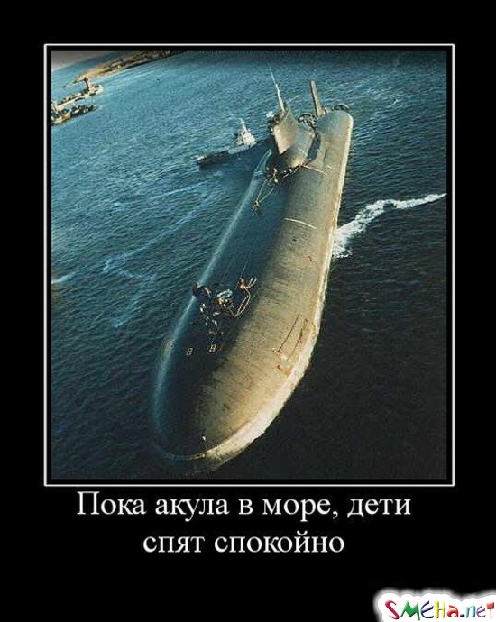 Пока акула в море, дети спят спокойно
