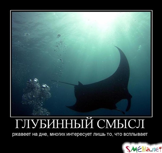 ГЛУБИННЫЙ СМЫСЛ - ржавеет на дне, многих интересует лишь то, что всплывает