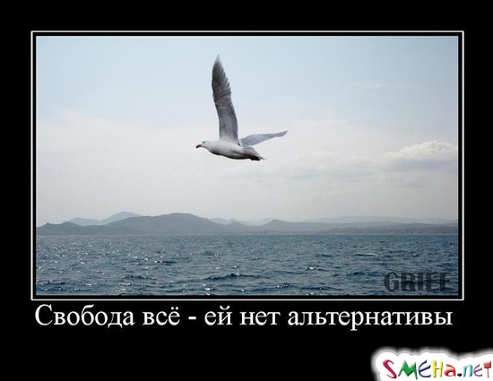 Свобода всё - ей нет альтернативы