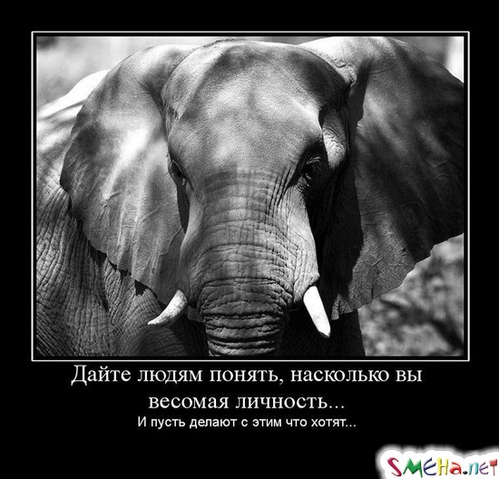 Дайте людям понять, насколько вы весомая личность... - И пусть делают с этим что хотят...