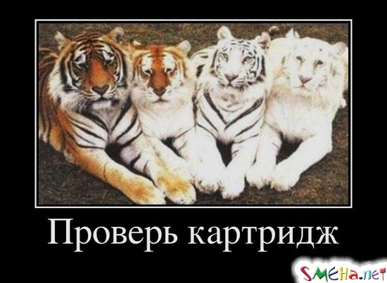 Проверь картридж