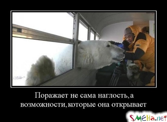 Поражает не сама наглость, а возможности, которые она открывает