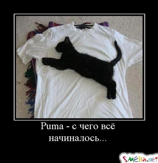 Puma - с чего всё начиналось...