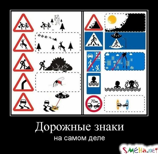 Дорожные знаки на самом деле