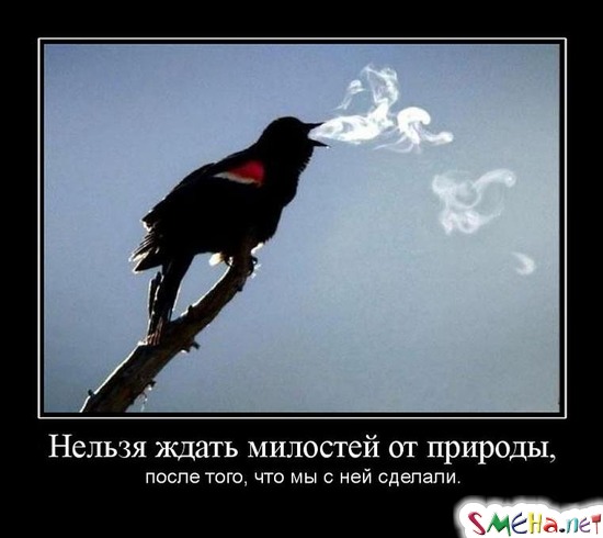 Нельзя ждать милостей от природы, - после того, что мы с ней сделали