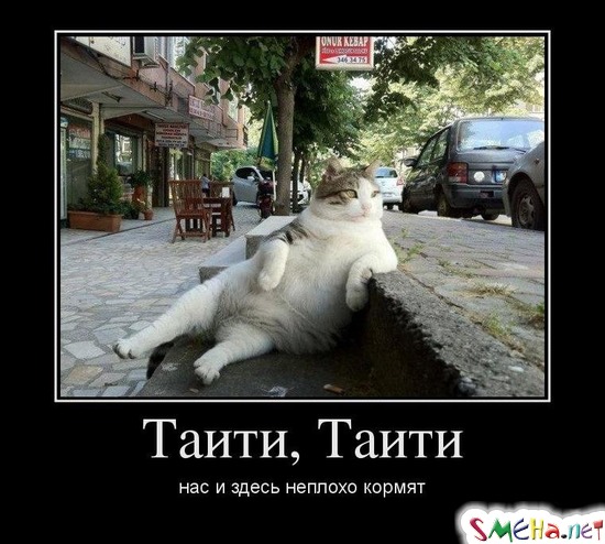Таити, Таити - нас и здесь неплохо кормят