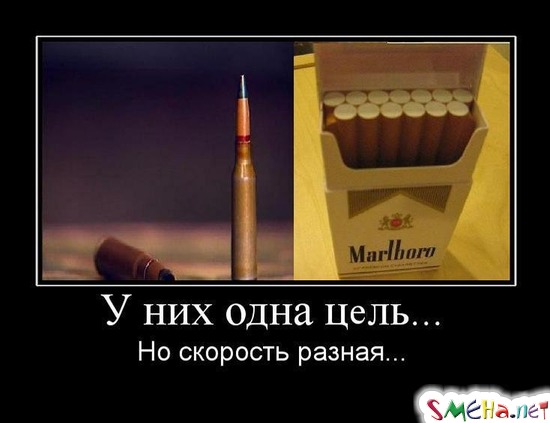 У них одна цель... - Но скорость разная...