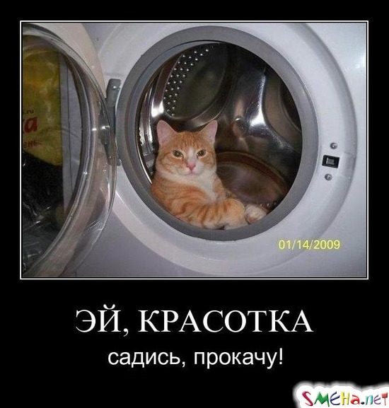 ЭЙ, КРАСОТКА - садись, прокачу!